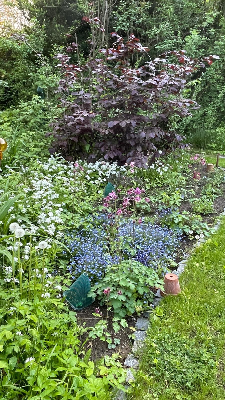 Garten 8 – Schwimmteichs